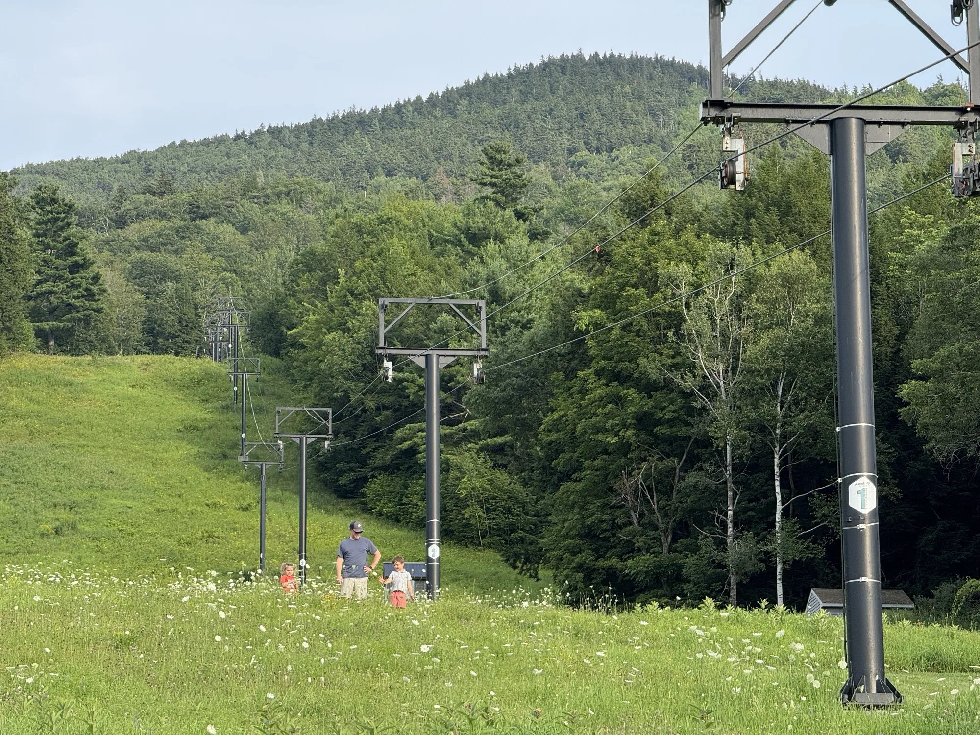 Family walking through a wildflower meadow beneath a ski lift line